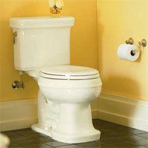 Kohler Toilet