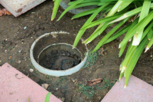 Sewer Line Clogs | Bonney Plumbing 