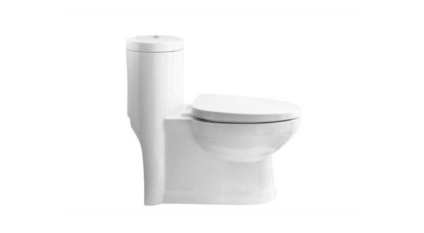 New toilet fixed by a Bonney plumber